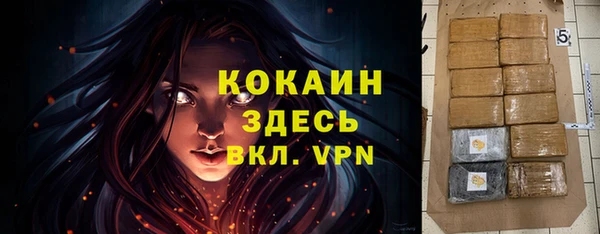 мдпв Майский