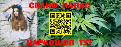 гашик Волжск
